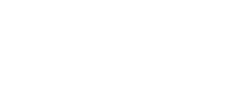 LEVEL ONE Logo 02